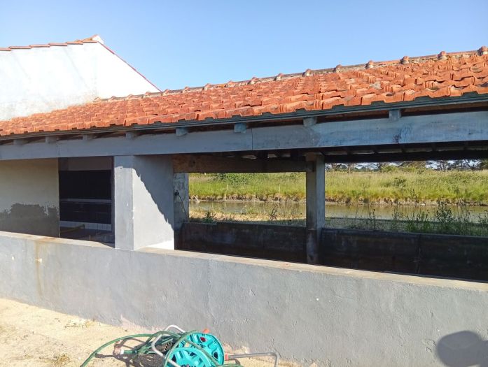 VENTE BATIMENTS, TERRAIN OSTREICOLE, BAR A HUITRES - NOIRMOUTIER