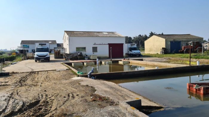 VENTE ÉTABLISEMENT OSTRÉICOLE - MOUTIERS EN RETZ