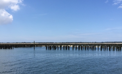 Les moules de bouchot - © CRC Pays de la Loire