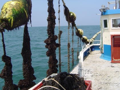 Moules de filière - © CRC Pays de la Loire