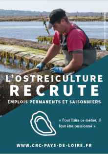 Affiche : la conchyliculture recrute