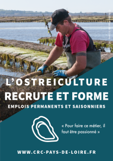 L'ostréiculture recrute