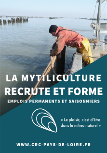 La mytiliculture recrute